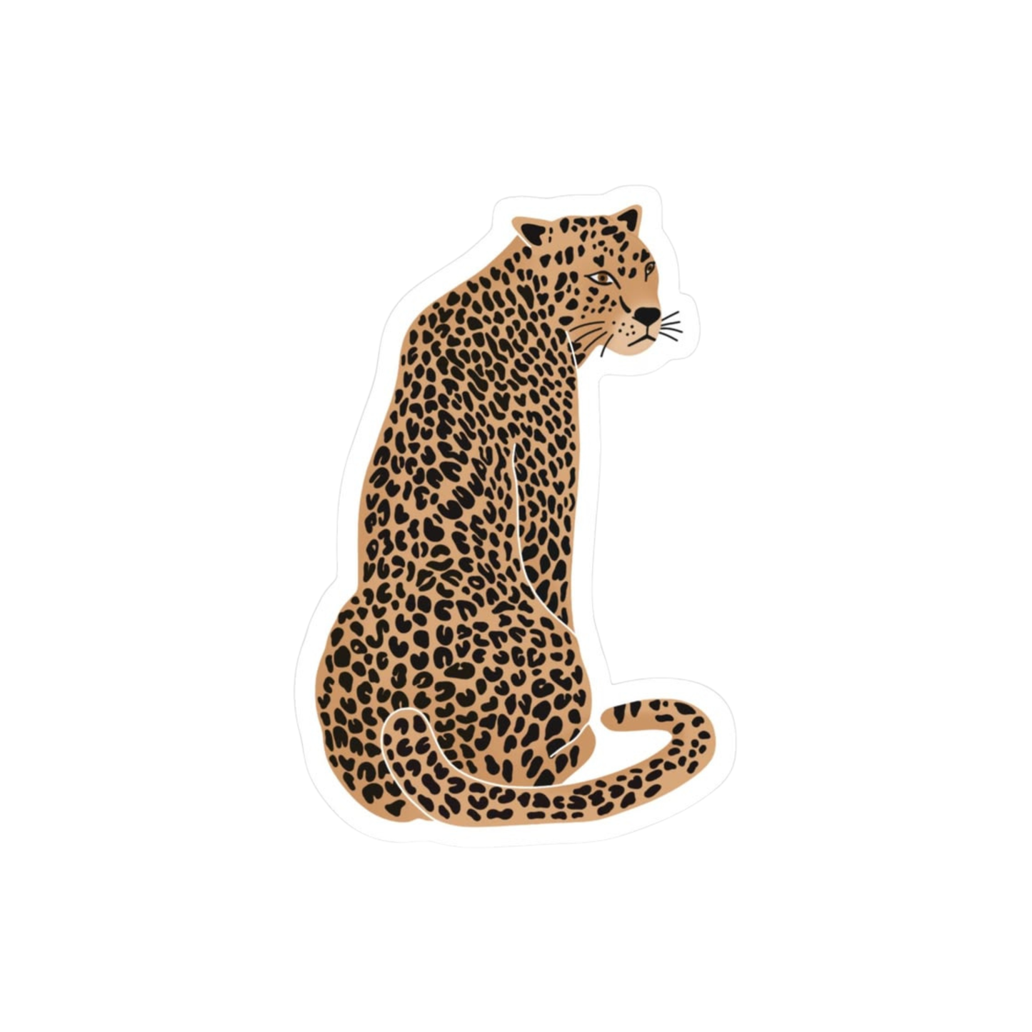 Cute leopard